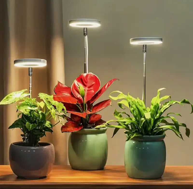 Iliana - Lampe horticole LED réglable
