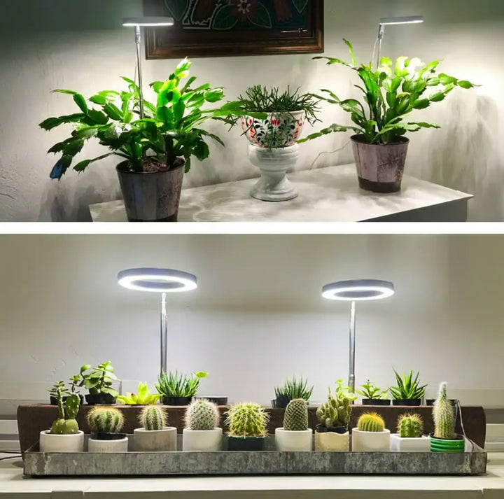 Iliana - Lampe horticole LED réglable