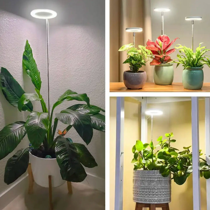 Iliana - Lampe horticole LED réglable